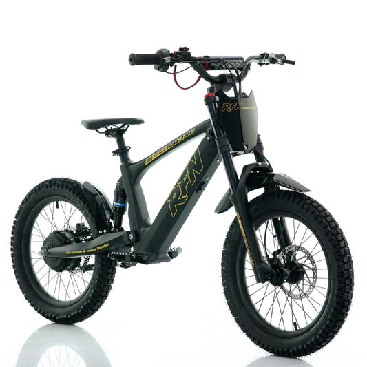Bicicleta eléctrica sin pedales 18" RFN EVO Racing 500W 36V