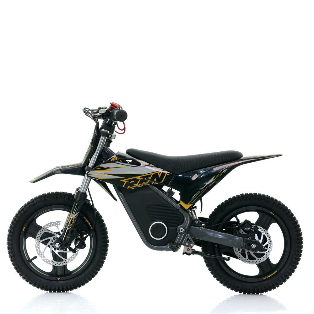 Minimoto Eléctrica RFN Warrior SX-E500 500W 36V 14”